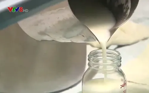 Giọt sữa yêu thương