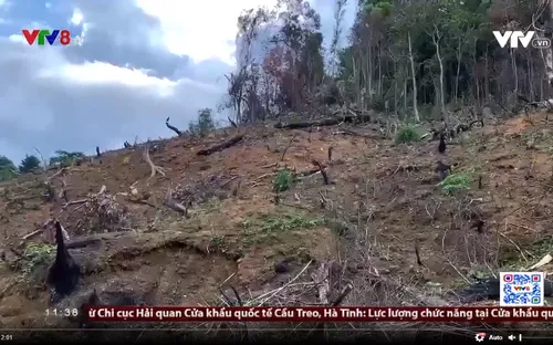 Trả đất cho rừng