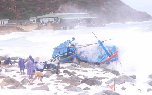 Mưa lớn ở miền Trung: Hàng vạn ha lúa ngập úng, hơn 150 tàu cá bị đánh chìm
