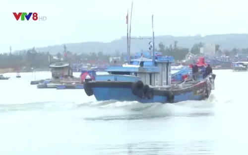 Quảng Ngãi quyết tâm chấm dứt tình trạng tàu cá vi phạm vùng biển nước ngoài