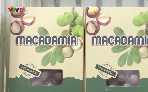 Đắk Nông tăng trưởng doanh thu sản phẩm OCOP