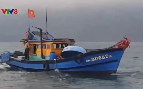 Bắt giữ tàu giã cào khai thác tận diệt hải sản