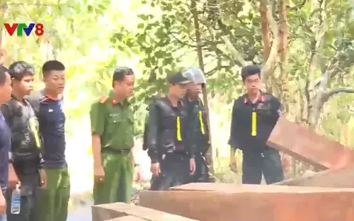 Đắk Lắk: Xét xử cán bộ công ty lâm nghiệp để mất rừng