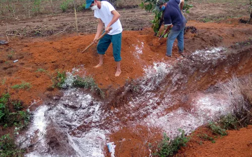 Kon Tum phát hiện ổ dịch H5N1, tiêu hủy 1.700 gia cầm