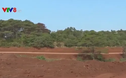 Cần xử lý nghiêm hoạt động san lấp mặt bằng trái phép