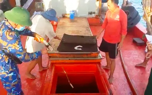 Phát hiện tàu chở 20.000 lít dầu DO không hóa đơn, chứng từ