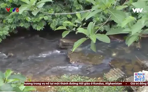 Có hay không buông lỏng quản lý xả thải tại các cơ sở sản xuất ở Thanh Hoá?