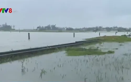 Kiểm tra công tác khắc phục mưa lũ ở Thừa Thiên Huế và Quảng Trị