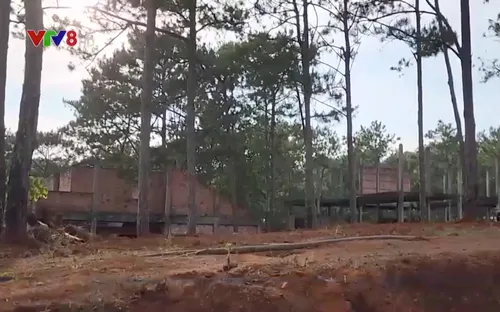 Đất vàng Măng Đen và những căn biệt thự bỏ hoang