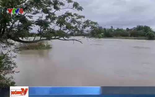 Miền Trung khắc phục hậu quả thiên tai