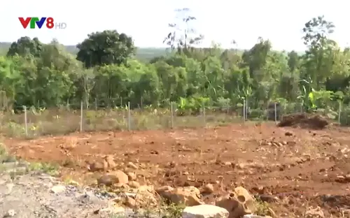 Chấn chỉnh tình trạng tự ý phân lô, bán nền