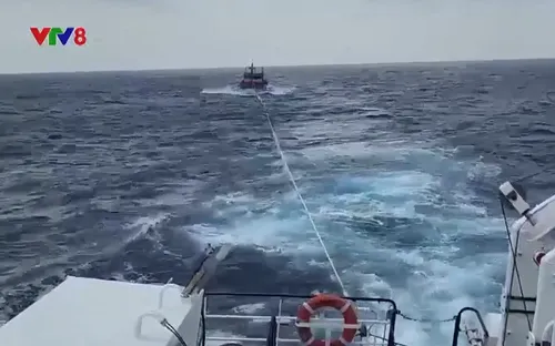 Cứu nạn thuyền viên tàu cá Quảng Ngãi trên vùng biển Hoàng Sa