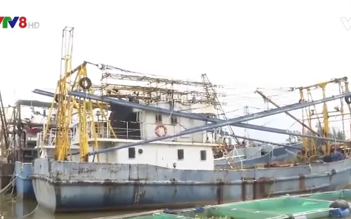 Hàng loạt tàu cá 67 bị bán thanh lý