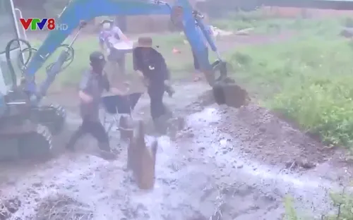 Đắk Nông phát hiện ổ dịch tả lợn Châu Phi lớn