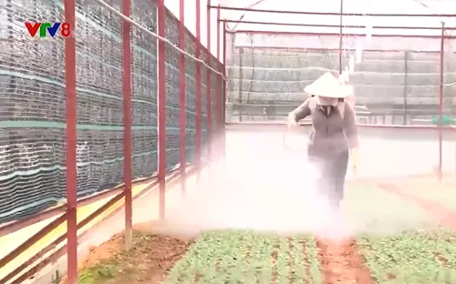 Xử lý rác thải nông nghiệp cần giải pháp căn cơ