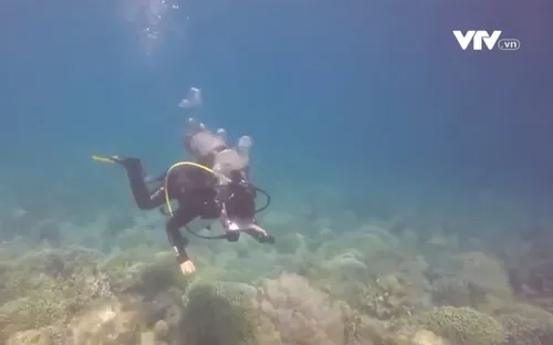 Người đàn ông 20 năm thầm lặng gom rác dưới đáy biển