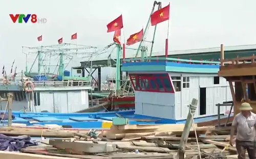 Nghệ An thiếu lao động đi biển