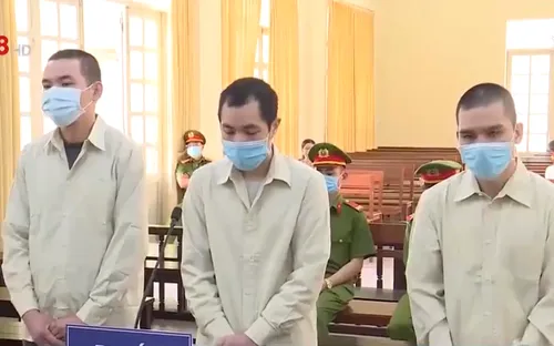 Giả mạo làm từ thiện lừa đảo chiếm đoạt  hơn nửa tỷ đồng