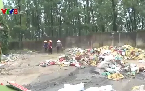 Thừa Thiên Huế: Phát hiện công ty cao su gây ô nhiễm môi trường