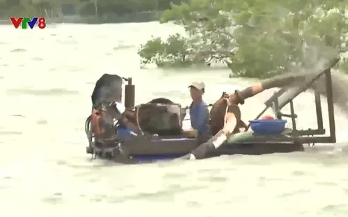 Khai thác tận diệt trên đầm Thị Nại