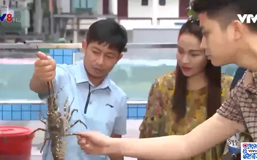 Thanh Hóa: Đảm bảo an toàn thực phẩm tại các điểm du lịch