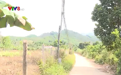 Khánh Hoà: Siết chặt biện pháp quản lý đất đai