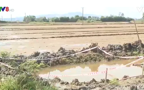 Bình Định: Một cháu bé tử vong do trượt chân xuống hố nước công trình