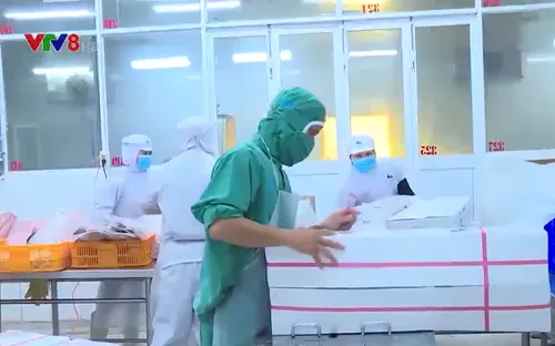 Phú Yên: Gần 5.000 người chờ được nhận chế độ hỗ trợ do dịch COVID-19