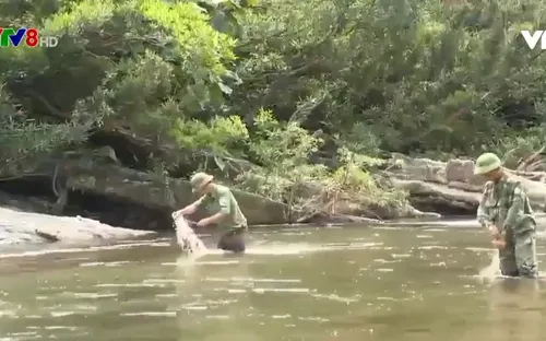 Vì sao người giữ rừng bỏ rừng ?