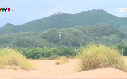 Phú Yên: Nông dân mất đất sản xuất vì sông Kỳ Lộ bị bồi lấp