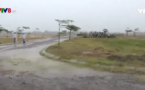 Diễn biến mới liên quan các dự án của Bách Đạt An, Quảng Nam