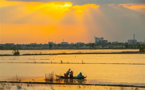 Nước sông đầu nguồn tại Đồng bằng sông Cửu Long cao hơn cùng kỳ