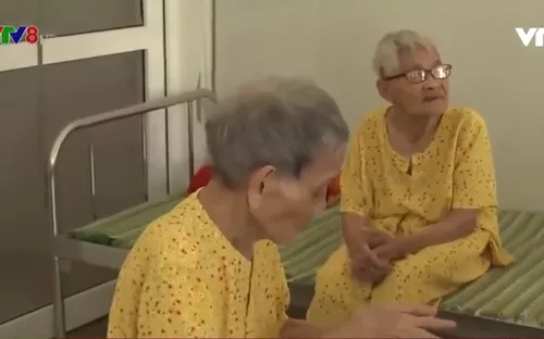 Phát triển hệ sinh thái chăm sóc người cao tuổi tại Việt Nam