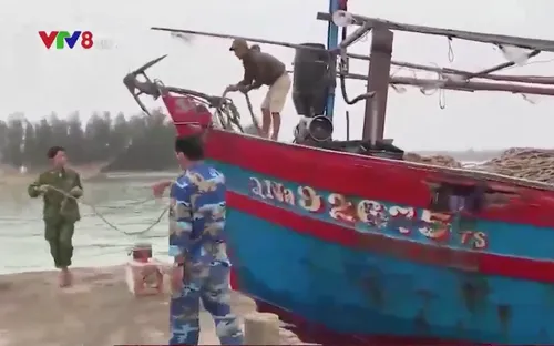 Kịp thời cứu 5 ngư dân và tàu cá bị nạn trên biển Cù Lao Chàm