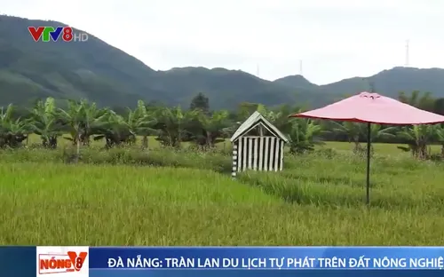 Đà Nẵng: Tràn lan mô hình du lịch tự phát trên đất nông nghiệp