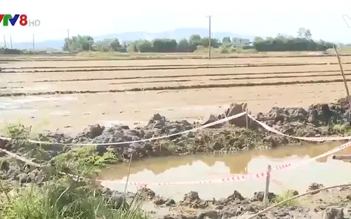 Bình Định: Xử lý nghiêm vi phạm quy định an toàn trong thi công