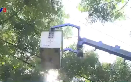 Quảng Trị đảm bảo an toàn hành lang lưới điện