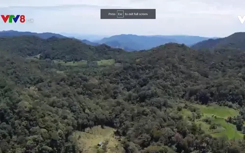 Bình Định tăng cường phòng cháy chữa cháy rừng mùa nắng nóng