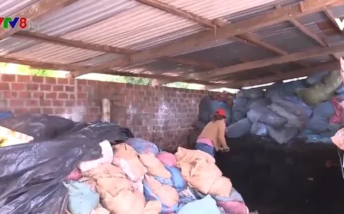 Nông dân tìm cách thích ứng với bão giá phân bón