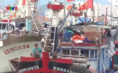 Cần nỗ lực của các bên trong gỡ bỏ thẻ vàng của EC