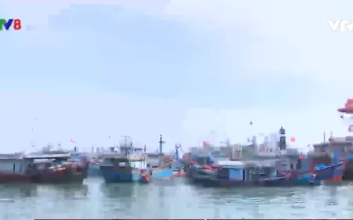 Tàu cá nằm bờ chờ giá xăng dầu giảm