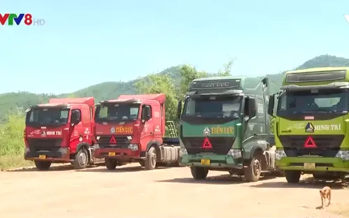 Giá xăng dầu liên tục tăng cao gây khó khăn cho các doanh nghiệp vận tải