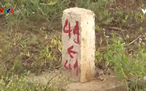 Quảng Trị: Đấu giá đất cao rồi thi nhau bỏ cọc