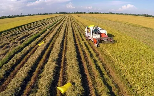 Những kỳ vọng mới cho Nông nghiệp - Nông dân - Nông thôn nhìn từ Nghị Quyết 19