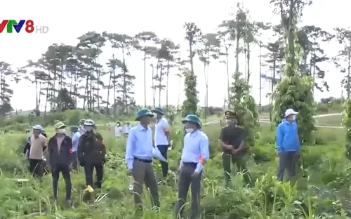 Cưỡng chế thu hồi đất chiếm dụng trái phép dọc Quốc lộ 28