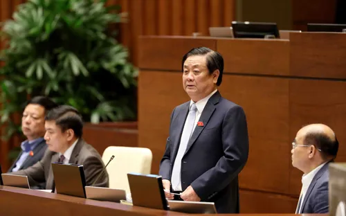 800.000 ngư dân gần như manh mún, nhỏ lẻ, tự phát