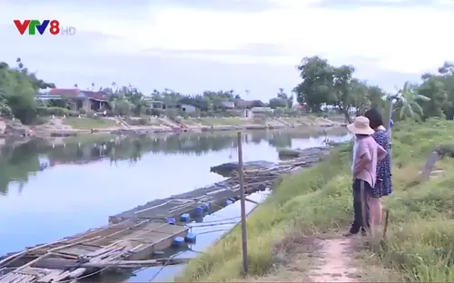 Tái diễn tình trạng cá nuôi lồng tại Huế chết hàng loạt