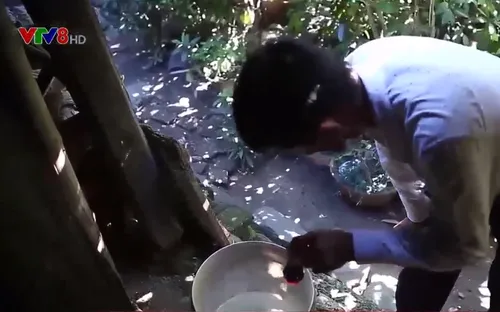 Quảng Ngãi khẩn cấp phòng chống dịch sốt xuất huyết