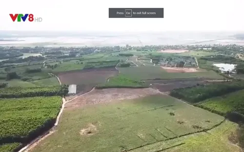 Quảng Trị xây dựng trung tâm sản xuất và chế biến dược liệu