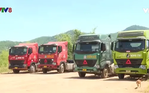 Giảm thuế bảo vệ môi trường đối với xăng, dầu